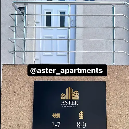 Aster * Belgrade